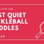 Best Quiet Pickleball Paddles Buying Guide [2022]