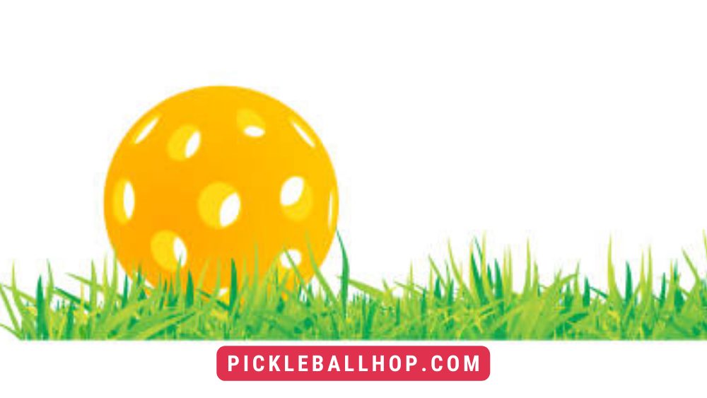 Can You Play Pickleball On Grass