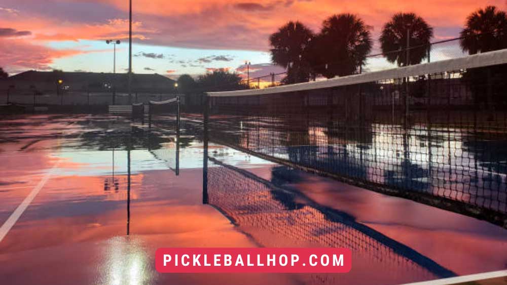 Pickleball Net Height