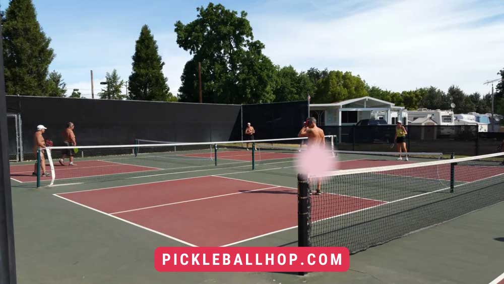 Nude Pickleball